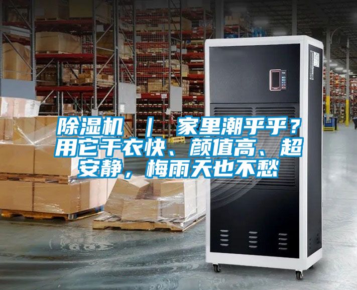 除濕機 ｜ 家里潮乎乎？用它干衣快、顏值高、超安靜，梅雨天也不愁