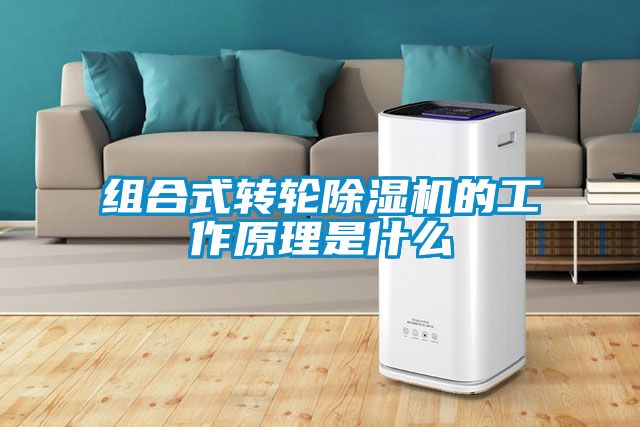 組合式轉(zhuǎn)輪除濕機(jī)的工作原理是什么