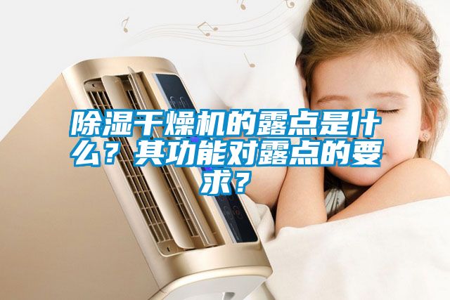 除濕干燥機(jī)的露點(diǎn)是什么？其功能對(duì)露點(diǎn)的要求？