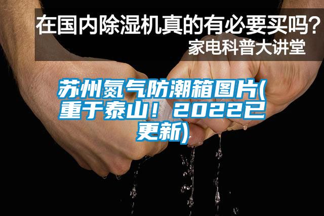 蘇州氮氣防潮箱圖片(重于泰山！2022已更新)