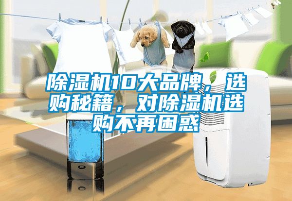 除濕機(jī)10大品牌，選購秘籍，對(duì)除濕機(jī)選購不再困惑