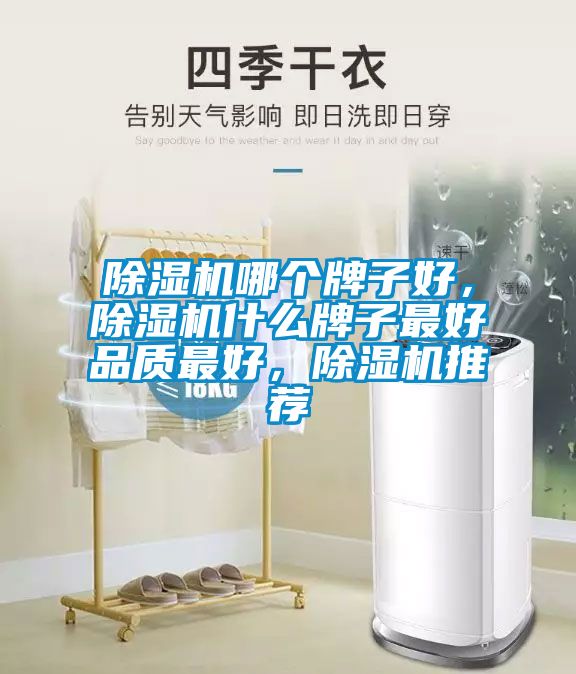 除濕機(jī)哪個(gè)牌子好，除濕機(jī)什么牌子最好品質(zhì)最好，除濕機(jī)推薦