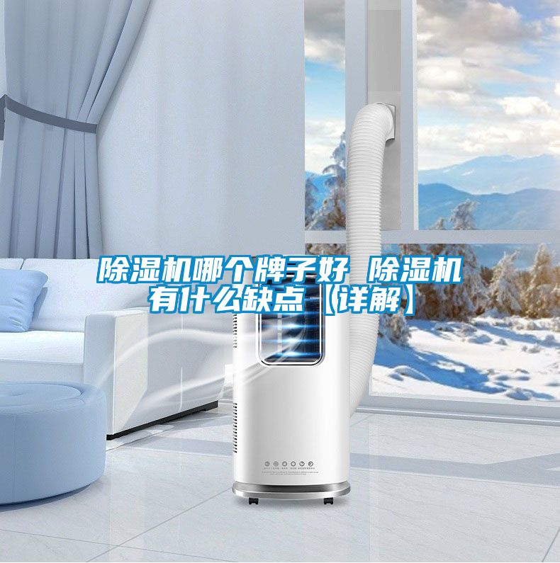 除濕機(jī)哪個牌子好 除濕機(jī)有什么缺點【詳解】