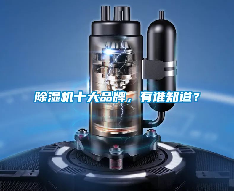 除濕機(jī)十大品牌，有誰知道？