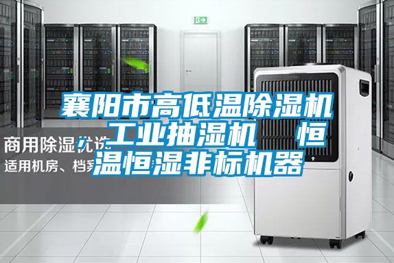 襄陽(yáng)市高低溫除濕機(jī)，工業(yè)抽濕機(jī)  恒溫恒濕非標(biāo)機(jī)器