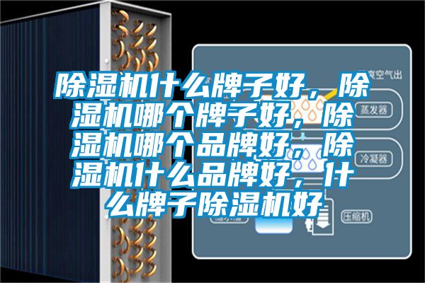除濕機(jī)什么牌子好，除濕機(jī)哪個(gè)牌子好，除濕機(jī)哪個(gè)品牌好，除濕機(jī)什么品牌好，什么牌子除濕機(jī)好