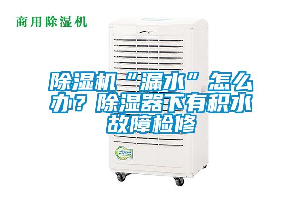 除濕機(jī)“漏水”怎么辦？除濕器下有積水故障檢修