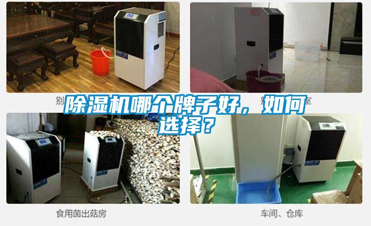 除濕機(jī)哪個(gè)牌子好，如何選擇？