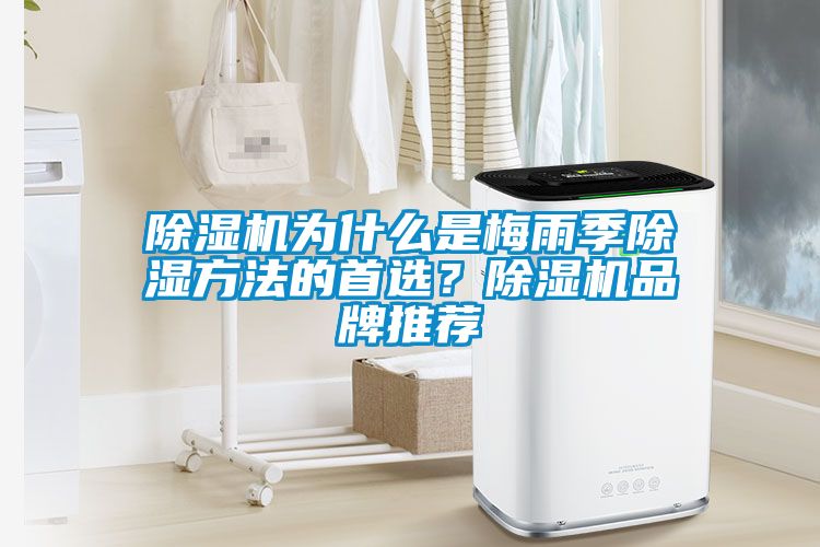 除濕機(jī)為什么是梅雨季除濕方法的首選？除濕機(jī)品牌推薦