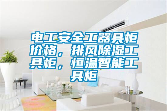 電工安全工器具柜價格，排風(fēng)除濕工具柜，恒溫智能工具柜