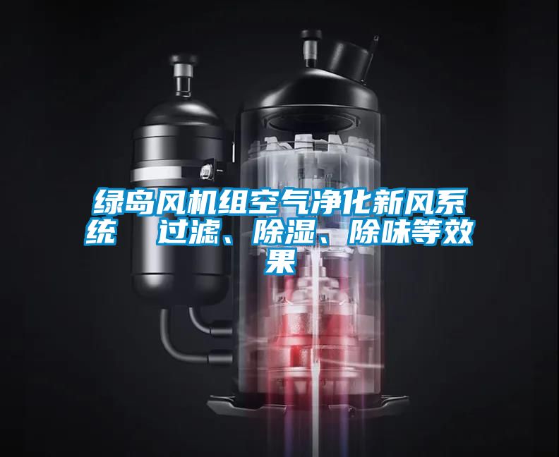綠島風(fēng)機組空氣凈化新風(fēng)系統(tǒng)  過濾、除濕、除味等效果