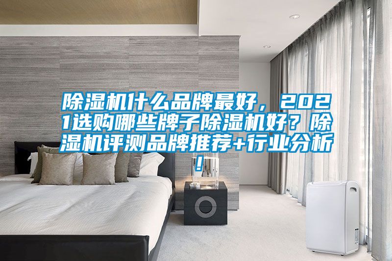 除濕機什么品牌最好，2021選購哪些牌子除濕機好？除濕機評測品牌推薦+行業(yè)分析！