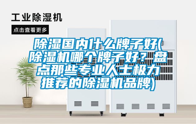 除濕國內(nèi)什么牌子好(除濕機哪個牌子好？盤點那些專業(yè)人士極力推薦的除濕機品牌)