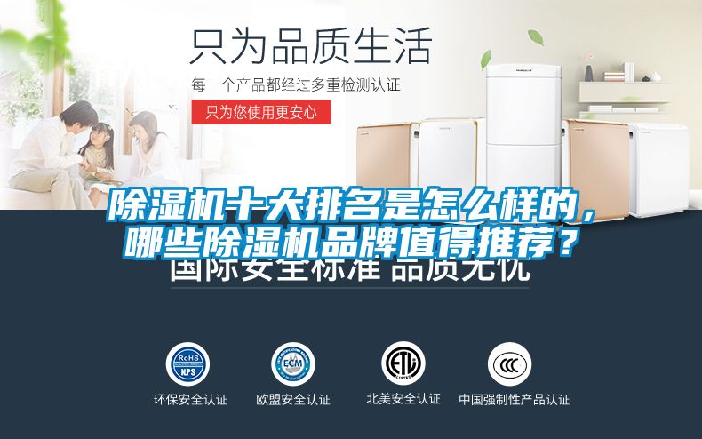 除濕機十大排名是怎么樣的，哪些除濕機品牌值得推薦？