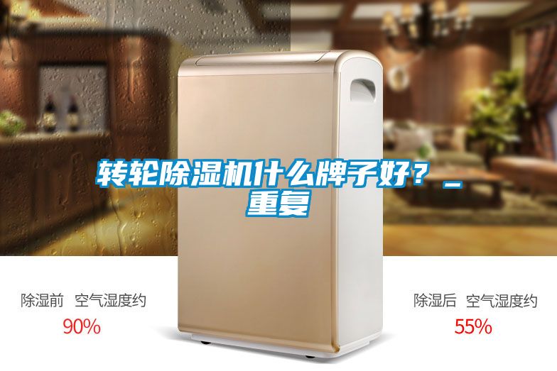 轉(zhuǎn)輪除濕機什么牌子好？_重復