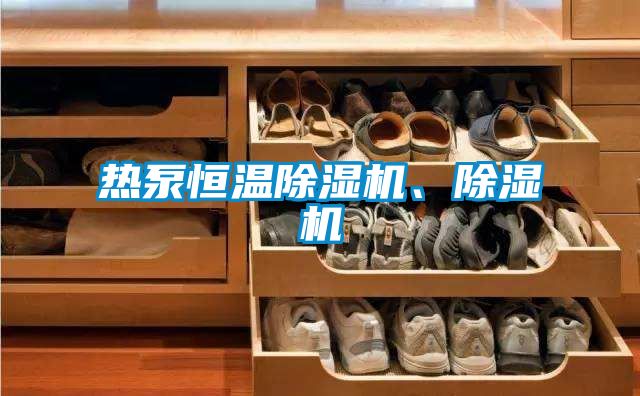 熱泵恒溫除濕機(jī)、除濕機(jī)