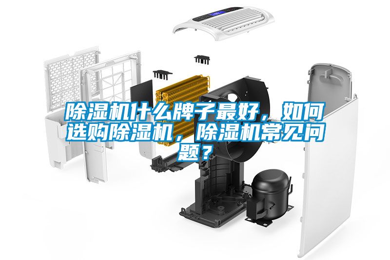 除濕機(jī)什么牌子最好，如何選購(gòu)除濕機(jī)，除濕機(jī)常見問題？