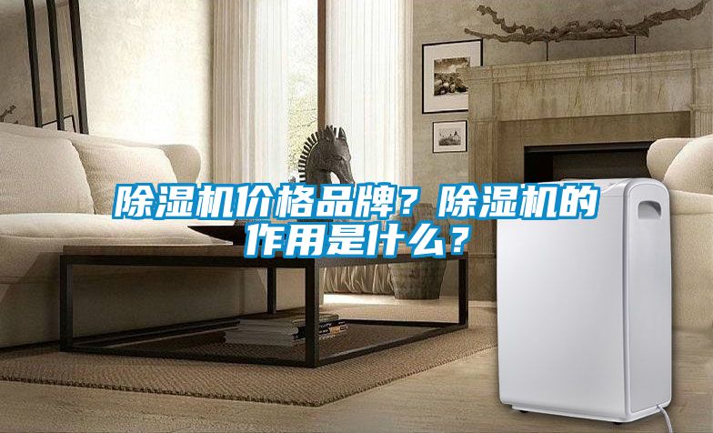 除濕機(jī)價(jià)格品牌？除濕機(jī)的作用是什么？