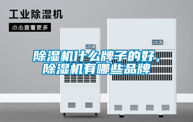 除濕機(jī)什么牌子的好，除濕機(jī)有哪些品牌