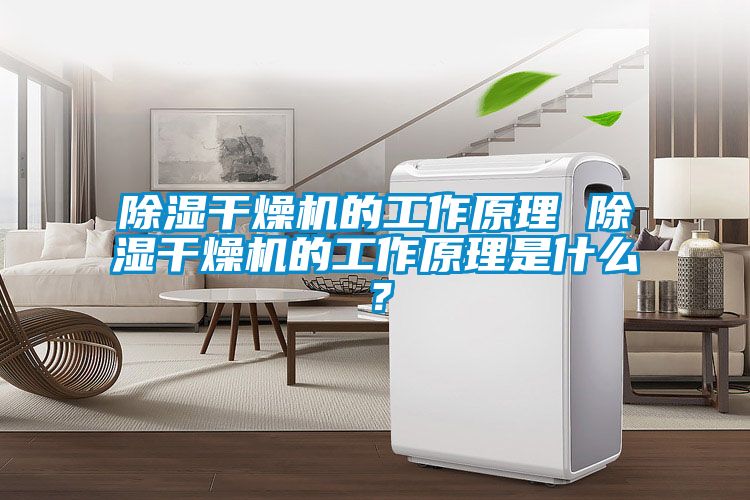除濕干燥機(jī)的工作原理 除濕干燥機(jī)的工作原理是什么？