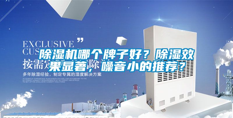 除濕機哪個牌子好？除濕效果顯著，噪音小的推薦？