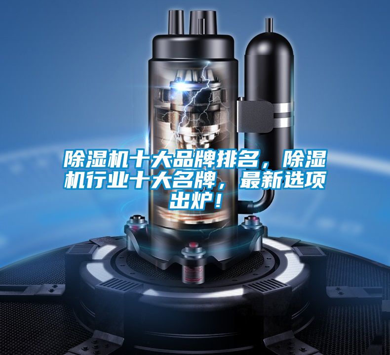 除濕機(jī)十大品牌排名，除濕機(jī)行業(yè)十大名牌，最新選項(xiàng)出爐！