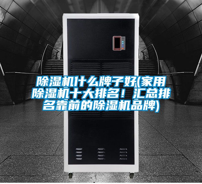 除濕機什么牌子好(家用除濕機十大排名！匯總排名靠前的除濕機品牌)