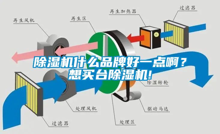 除濕機(jī)什么品牌好一點(diǎn)?。肯胭I臺(tái)除濕機(jī)!