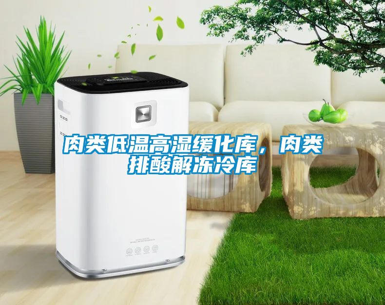 肉類低溫高濕緩化庫，肉類排酸解凍冷庫