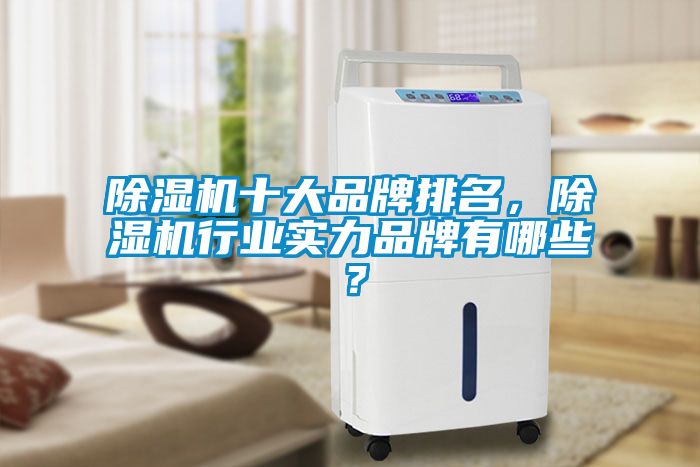 除濕機(jī)十大品牌排名，除濕機(jī)行業(yè)實(shí)力品牌有哪些？