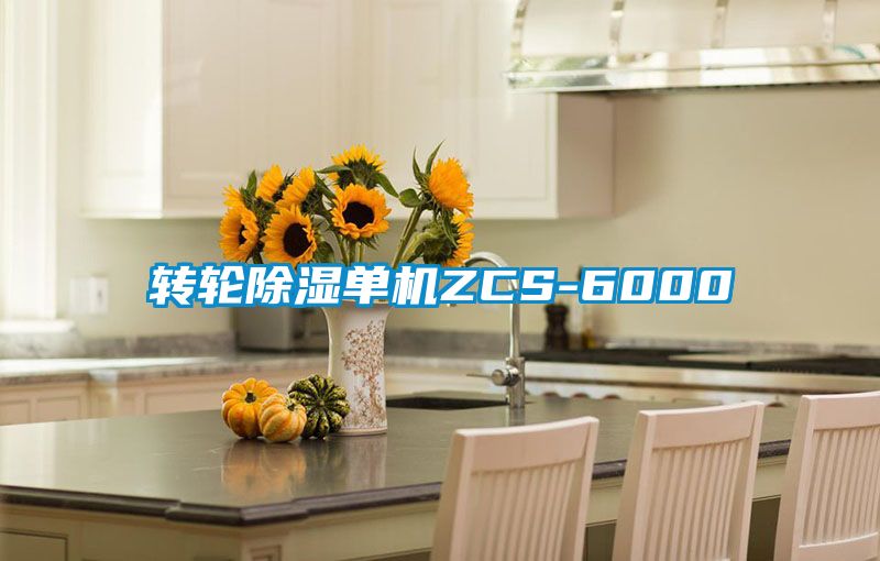 轉(zhuǎn)輪除濕單機ZCS-6000