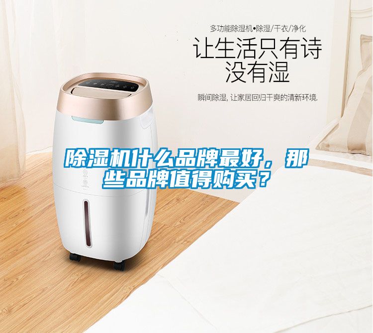 除濕機(jī)什么品牌最好，那些品牌值得購(gòu)買(mǎi)？