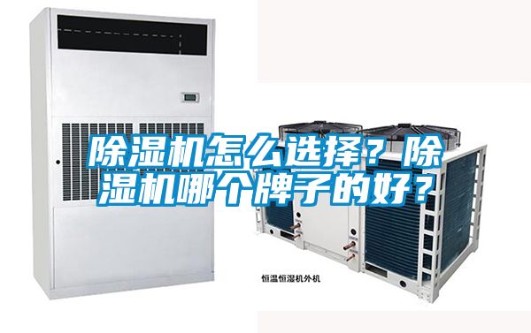 除濕機(jī)怎么選擇？除濕機(jī)哪個牌子的好？