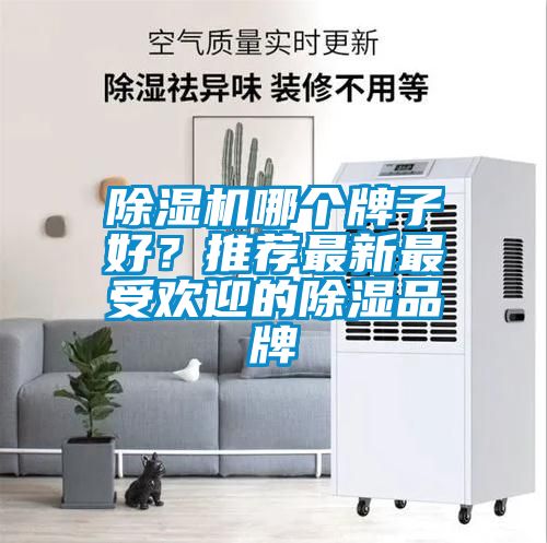 除濕機哪個牌子好？推薦最新最受歡迎的除濕品牌