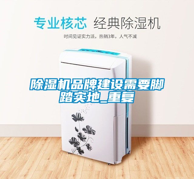 除濕機(jī)品牌建設(shè)需要腳踏實地_重復(fù)