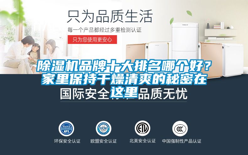 除濕機(jī)品牌十大排名哪個好？家里保持干燥清爽的秘密在這里