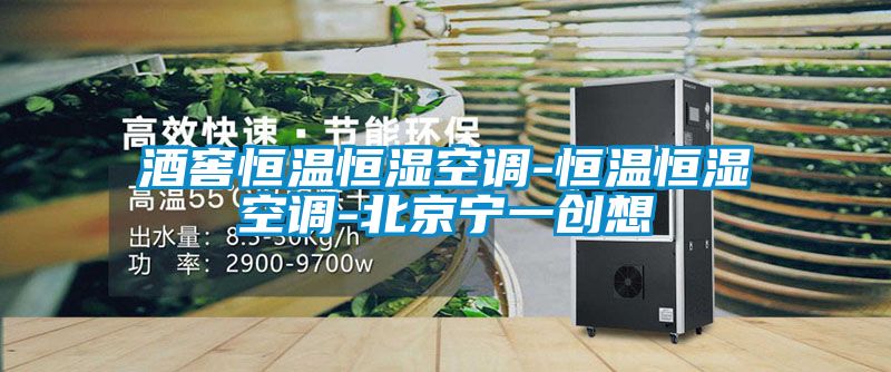 酒窖恒溫恒濕空調-恒溫恒濕空調-北京寧一創(chuàng)想