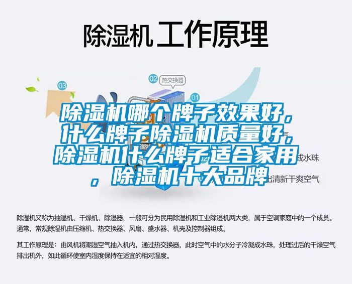 除濕機哪個牌子效果好，什么牌子除濕機質(zhì)量好，除濕機什么牌子適合家用，除濕機十大品牌