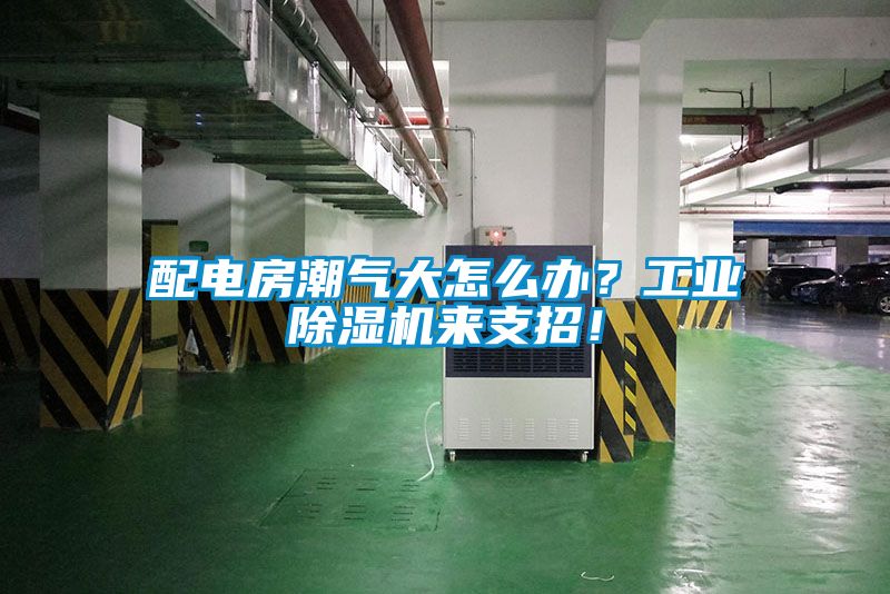 配電房潮氣大怎么辦？工業(yè)除濕機(jī)來支招！