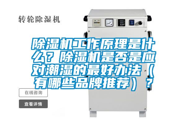 除濕機(jī)工作原理是什么？除濕機(jī)是否是應(yīng)對(duì)潮濕的最好辦法（有哪些品牌推薦）？