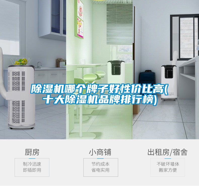 除濕機(jī)哪個牌子好性價比高(十大除濕機(jī)品牌排行榜)