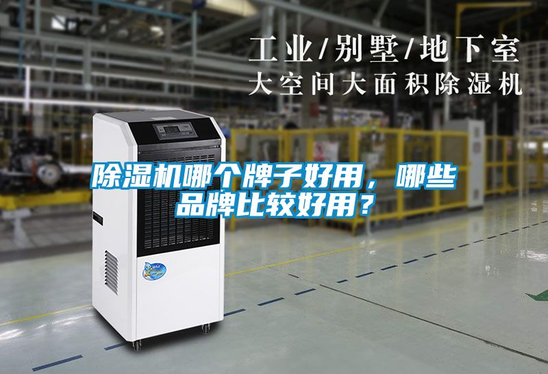 除濕機哪個牌子好用，哪些品牌比較好用？