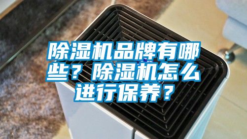 除濕機(jī)品牌有哪些？除濕機(jī)怎么進(jìn)行保養(yǎng)？