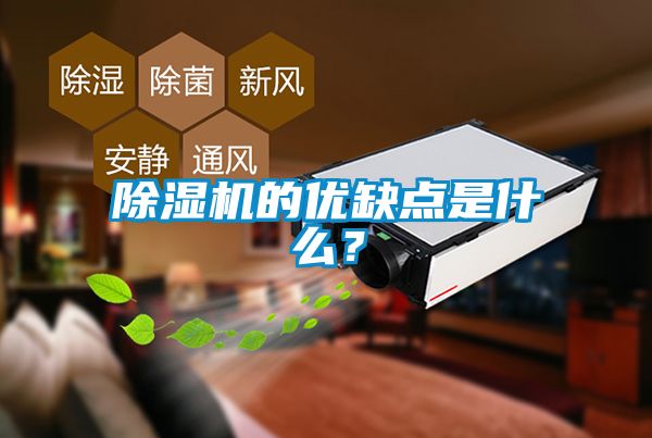 除濕機的優(yōu)缺點是什么？