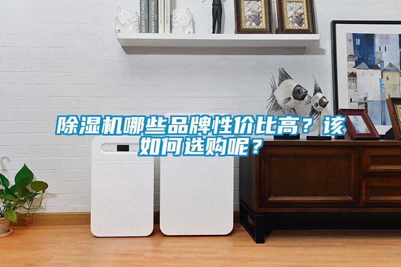 除濕機(jī)哪些品牌性價(jià)比高？該如何選購(gòu)呢？