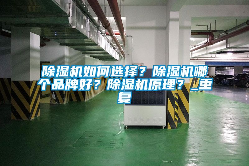 除濕機(jī)如何選擇？除濕機(jī)哪個(gè)品牌好？除濕機(jī)原理？_重復(fù)