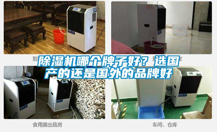 除濕機(jī)哪個(gè)牌子好？選國產(chǎn)的還是國外的品牌好