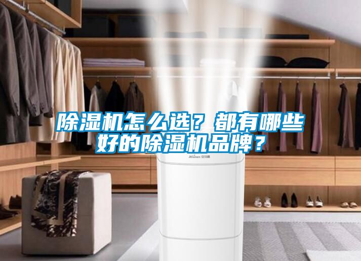 除濕機怎么選？都有哪些好的除濕機品牌？