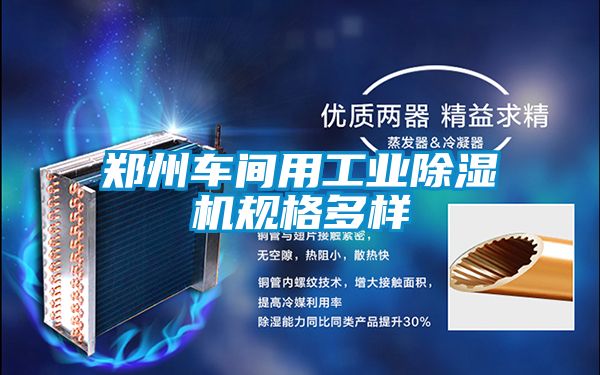 鄭州車(chē)間用工業(yè)除濕機(jī)規(guī)格多樣