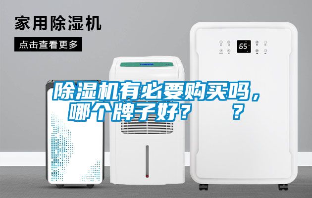 除濕機有必要購買嗎，哪個牌子好？  ？